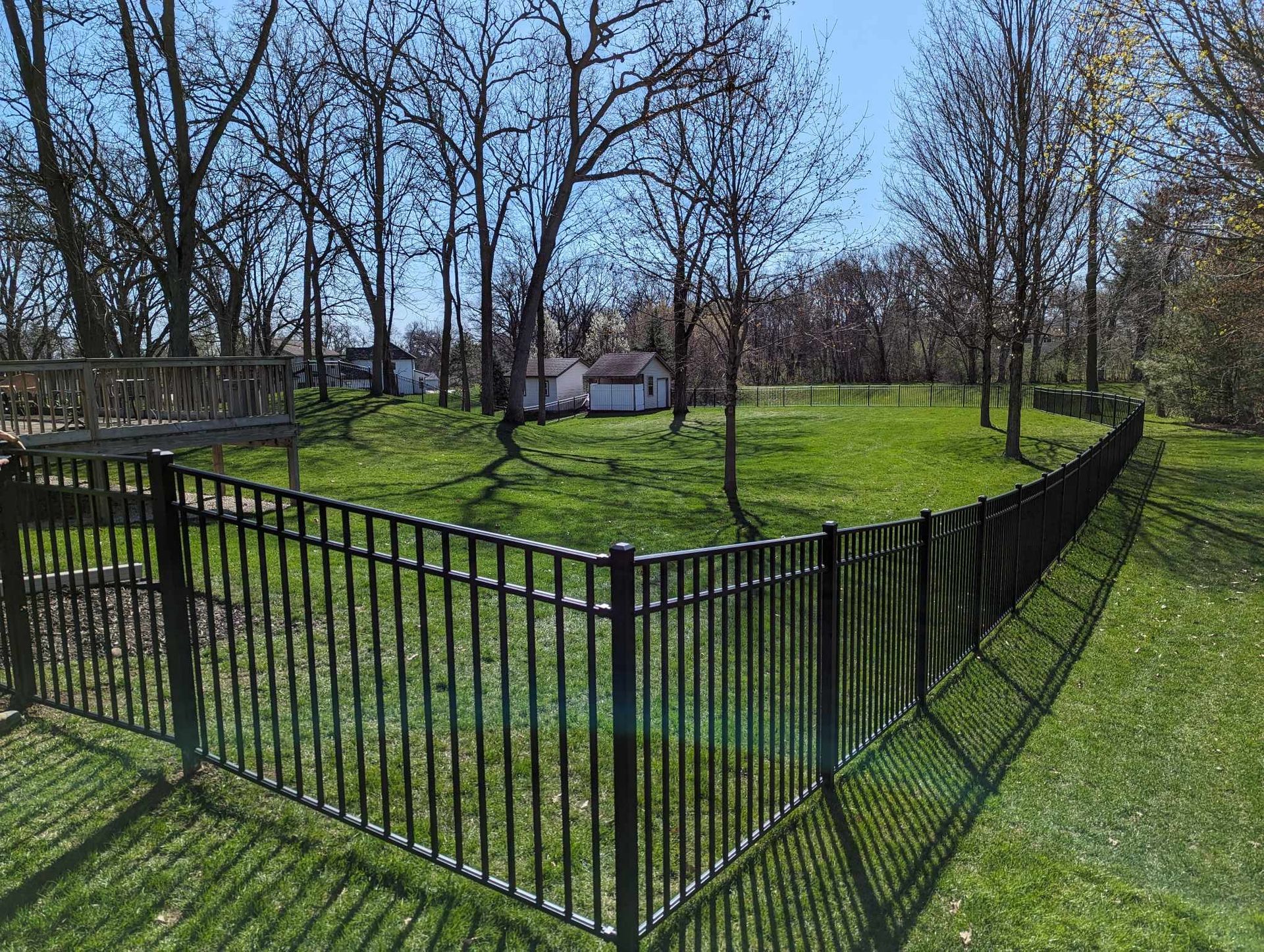 A black fence surrounds a grassy field with trees in the background.