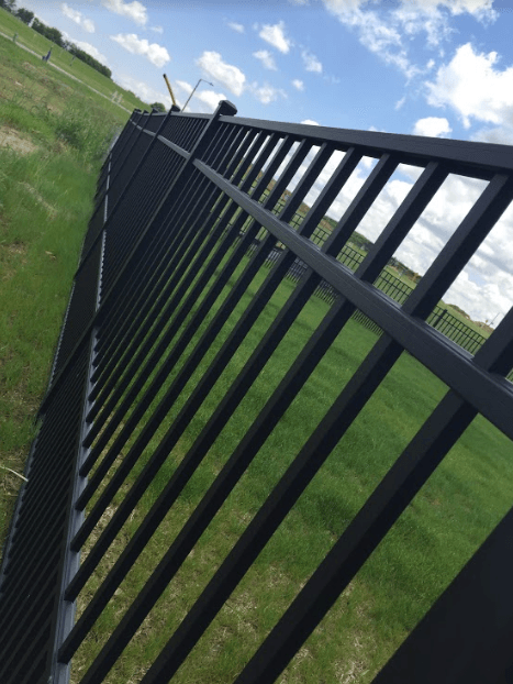 A black metal fence surrounds a grassy field