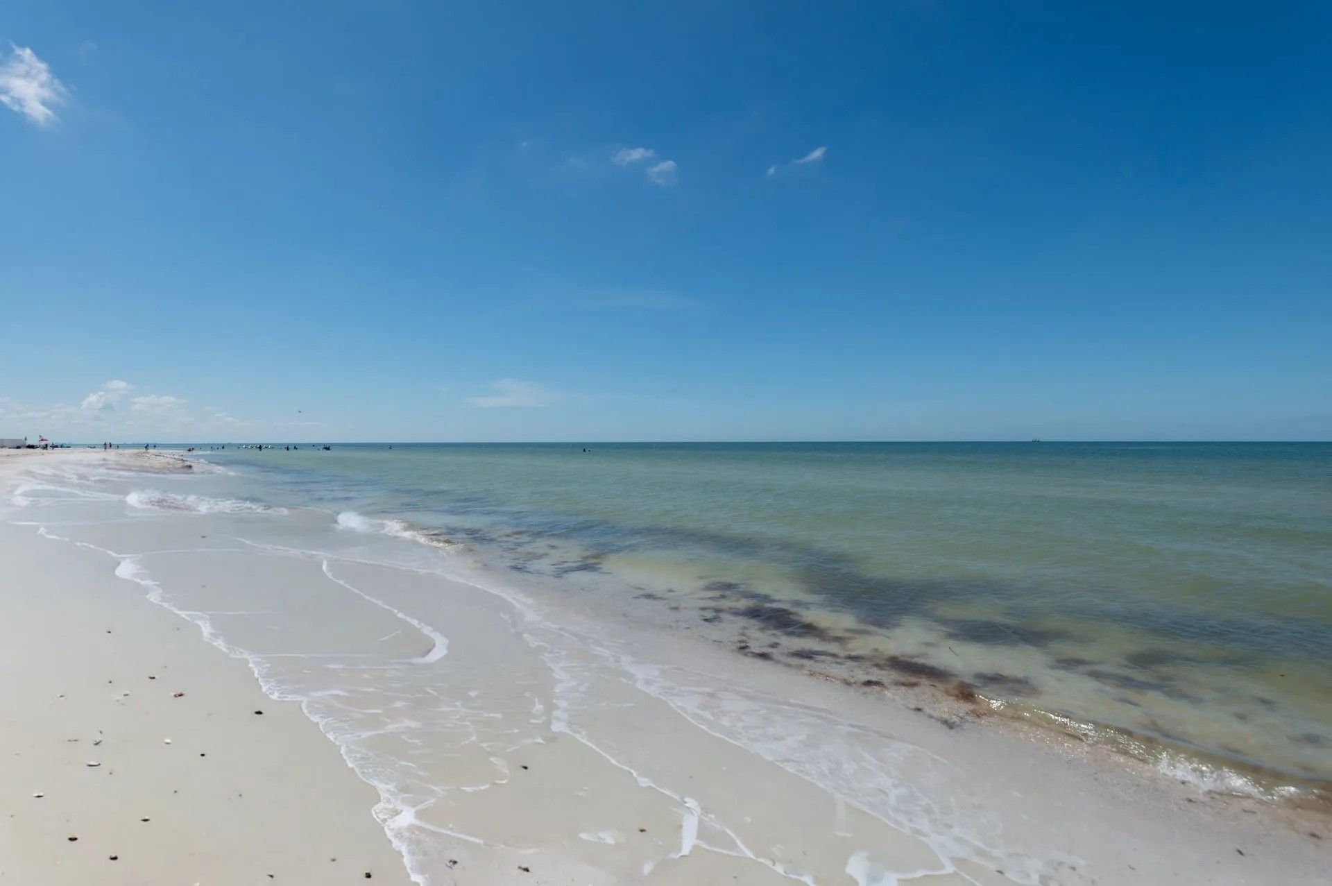 A sandy beach meets calm, light blue-green water under a clear blue sky, with scattered seaweed along the shoreline.