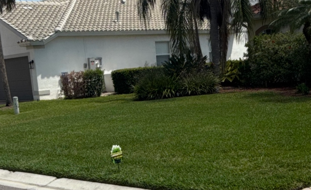 A white house with a lush green lawn in front of it.