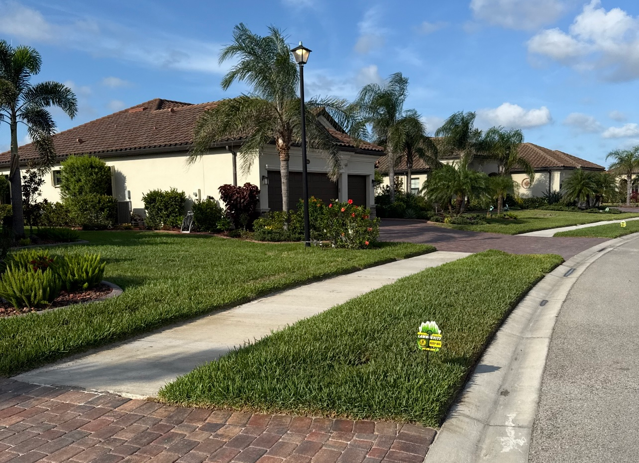 A white house with a brown roof is surrounded by palm trees