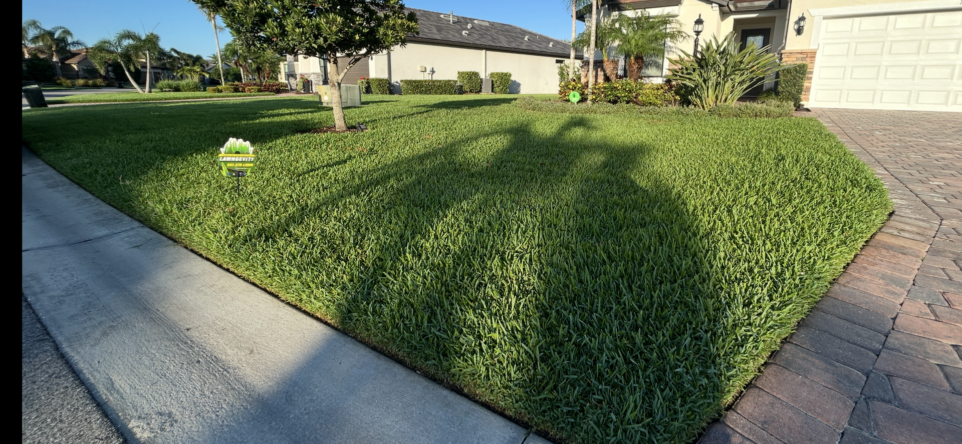 A lush green lawn with a brick driveway in front of a house.