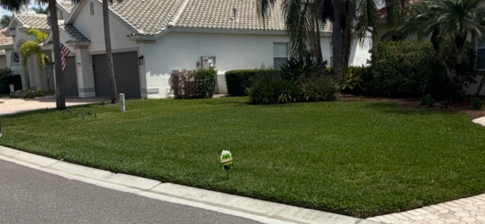 A lush green lawn in front of a white house.