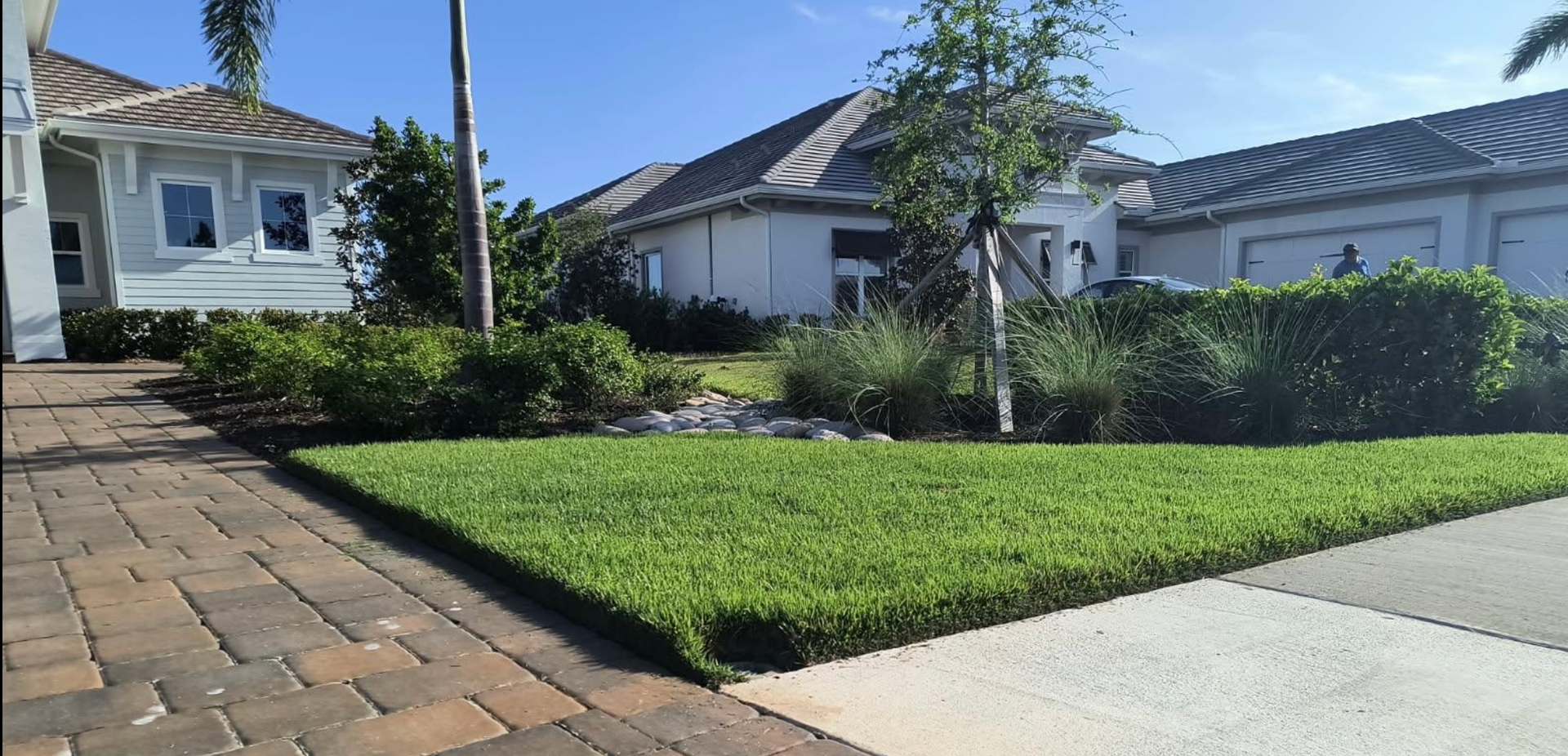 A lush green lawn is in front of a white house.