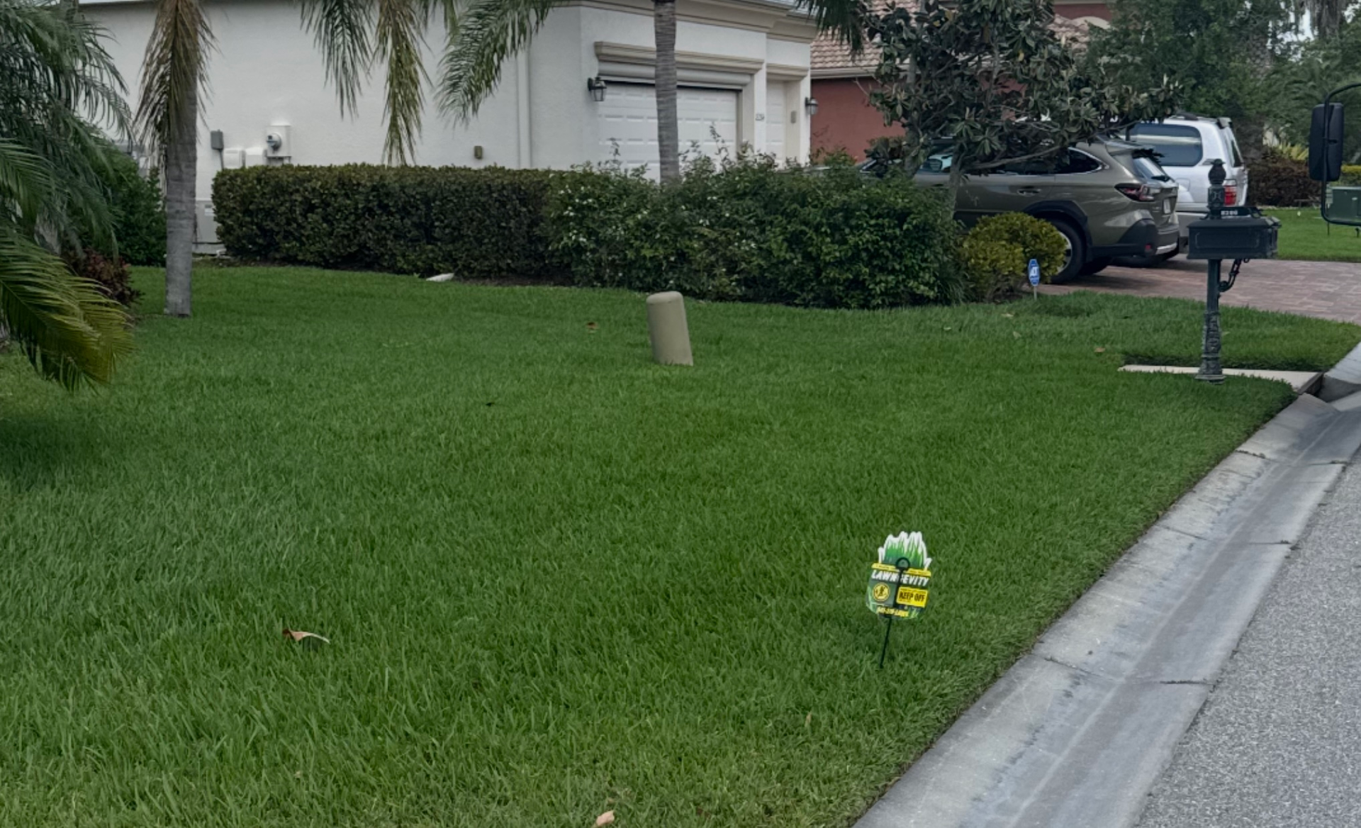 A lawn with a sprinkler in the middle of it and a mailbox in the background.