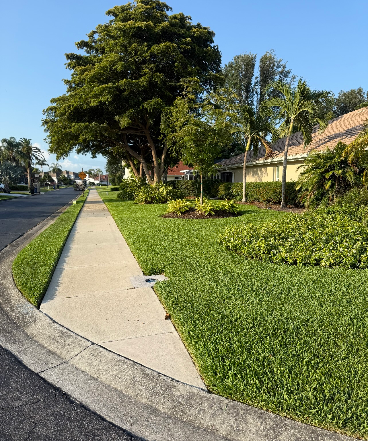A sidewalk leading to a house in a residential neighborhood