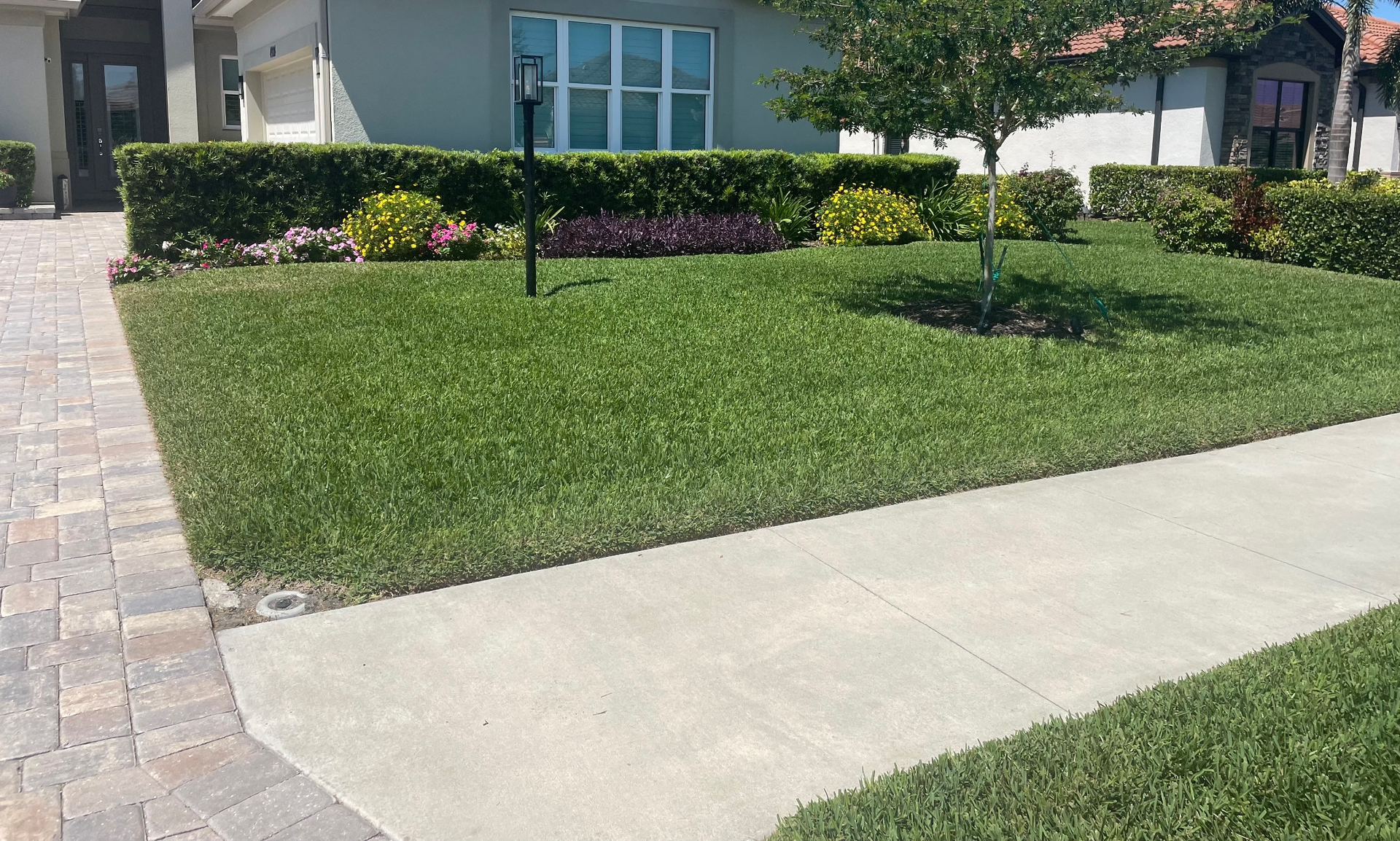 A house with a lush green lawn and a sidewalk in front of it.