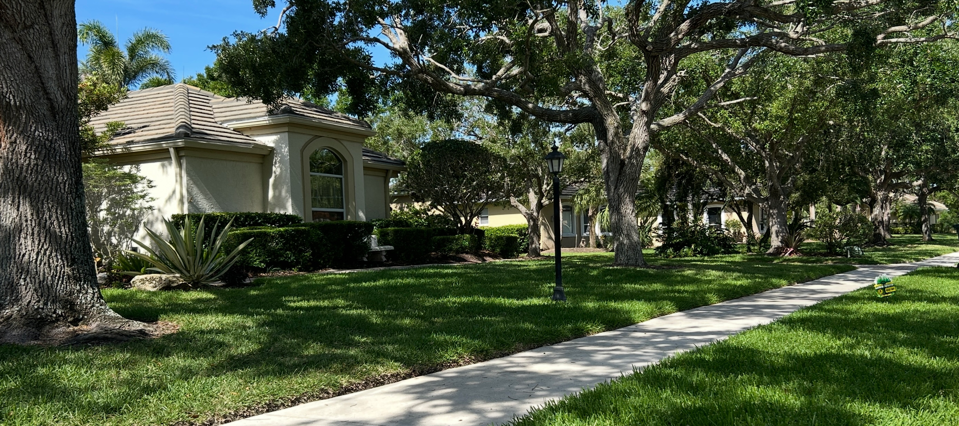 A house with a lush green lawn and a sidewalk leading to it.