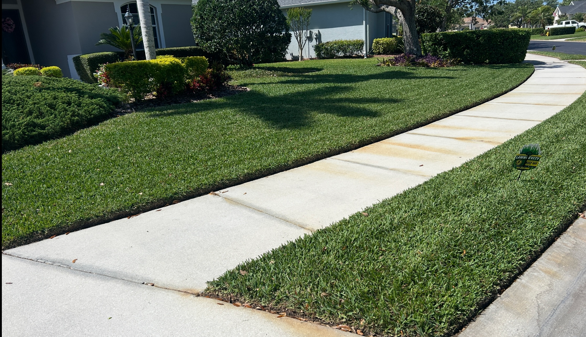 A lush green lawn along a sidewalk in front of a house