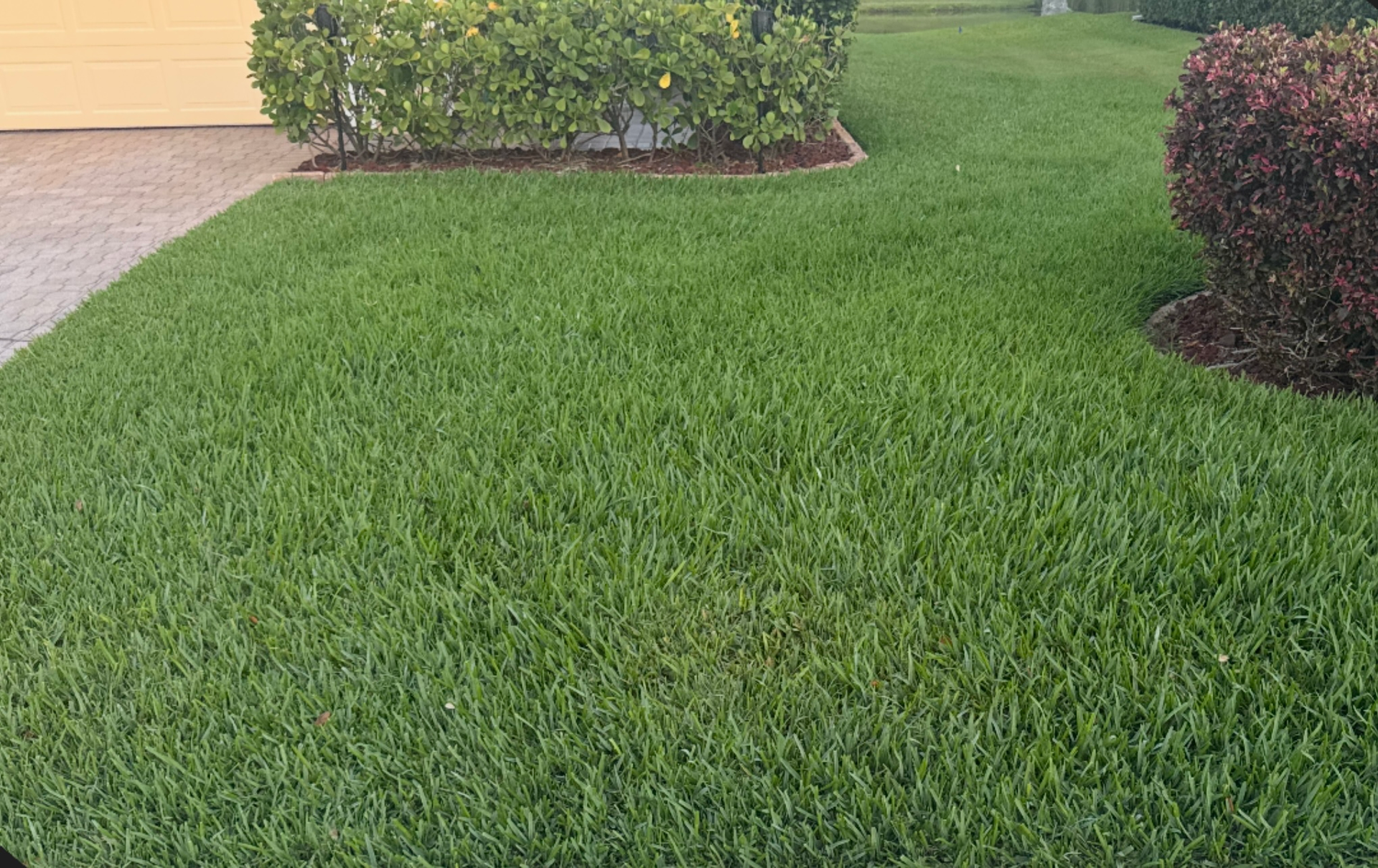 A lush green lawn with a yellow garage in the background.