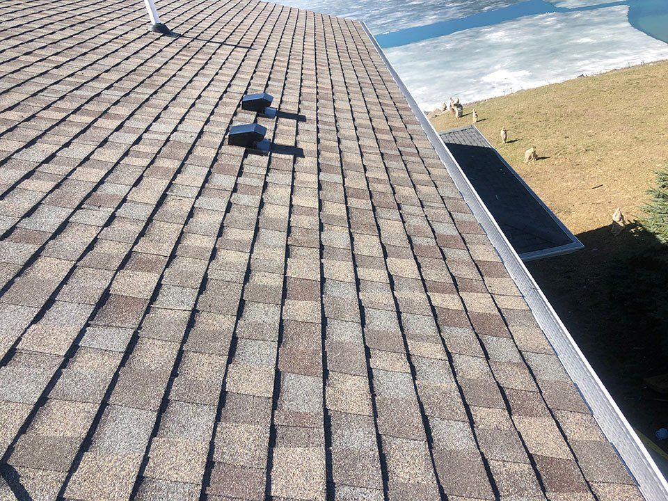Roof shingles