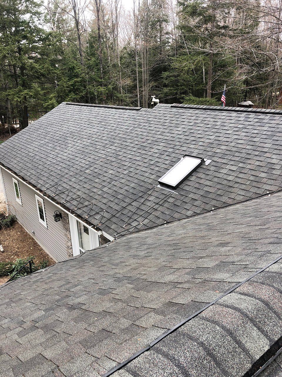 Roof shingles
