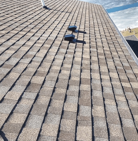 Shingle roof