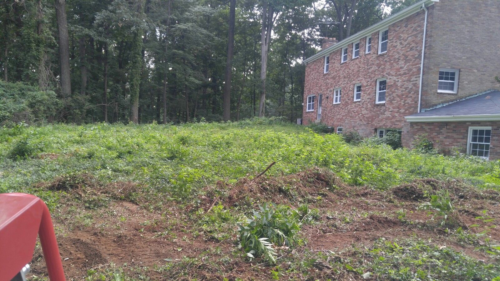 A brick house sits behind a large, overgrown yard with patches of cleared dirt and dense green weeds.