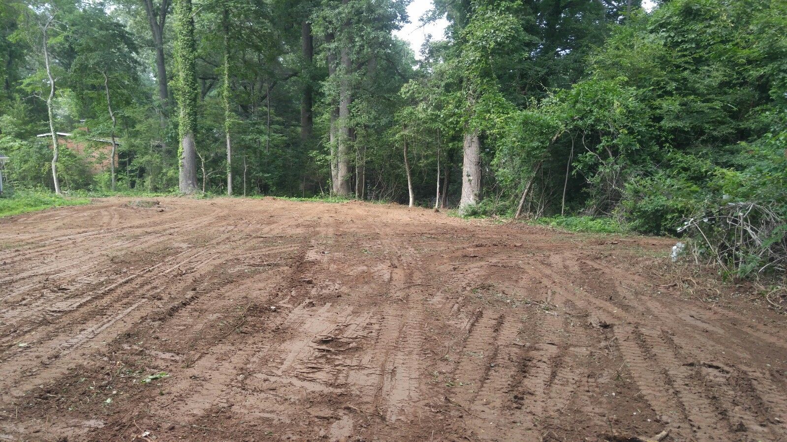 A patch of freshly cleared, churned brown soil bordered by a dense green forest.