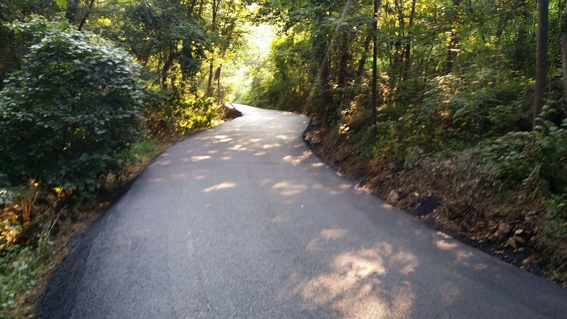 A paved road winds through a lush green forest, dappled with sunlight filtering through the trees.
