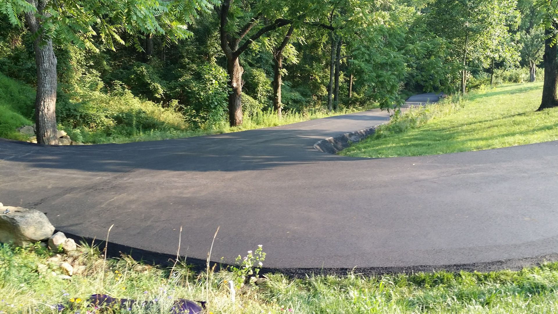 A paved driveway curves through a lush, green wooded area on a sunny day.