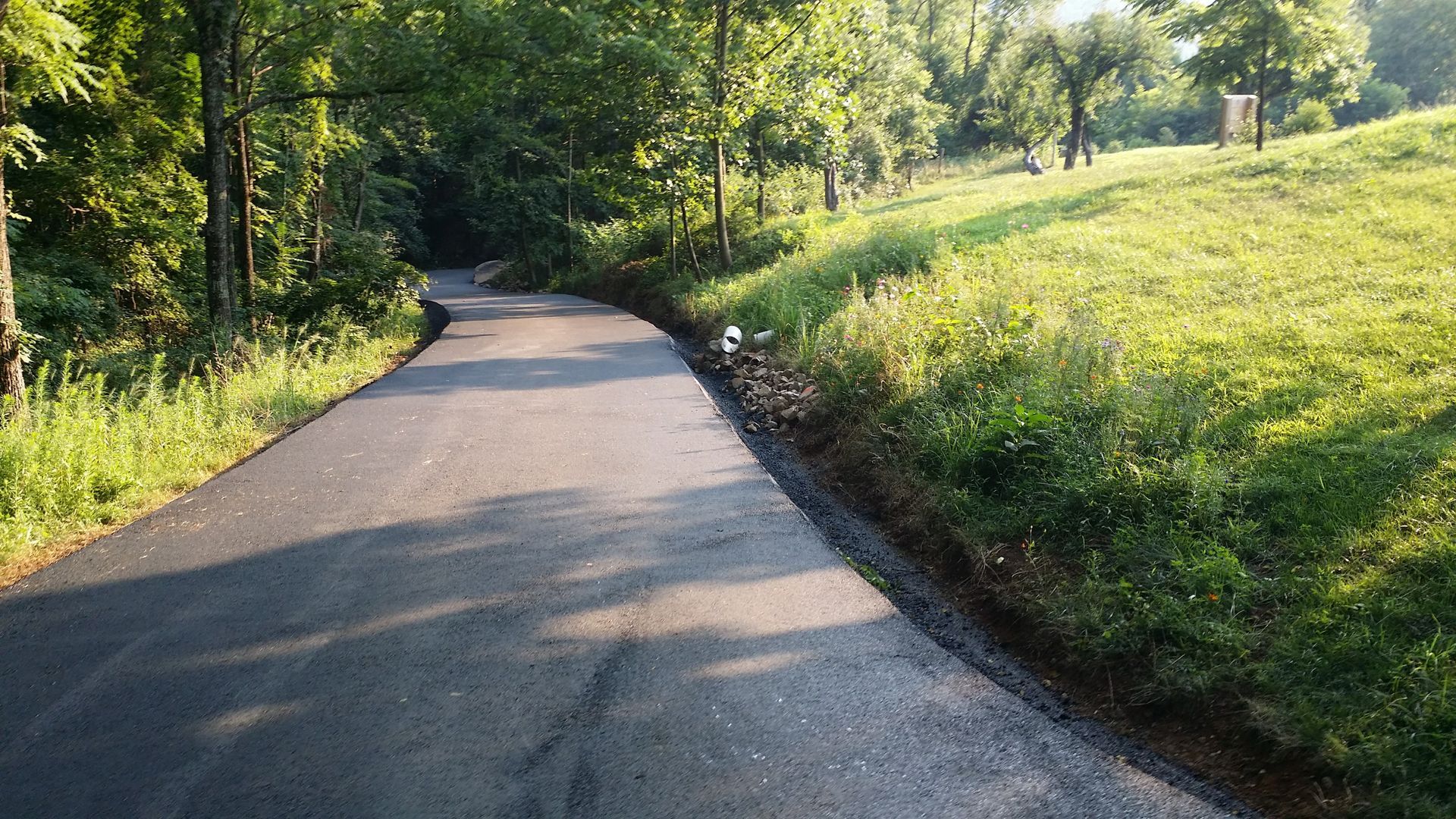 A paved road winds through a lush, green landscape with trees on the left and a sunny, grassy hillside on the right.