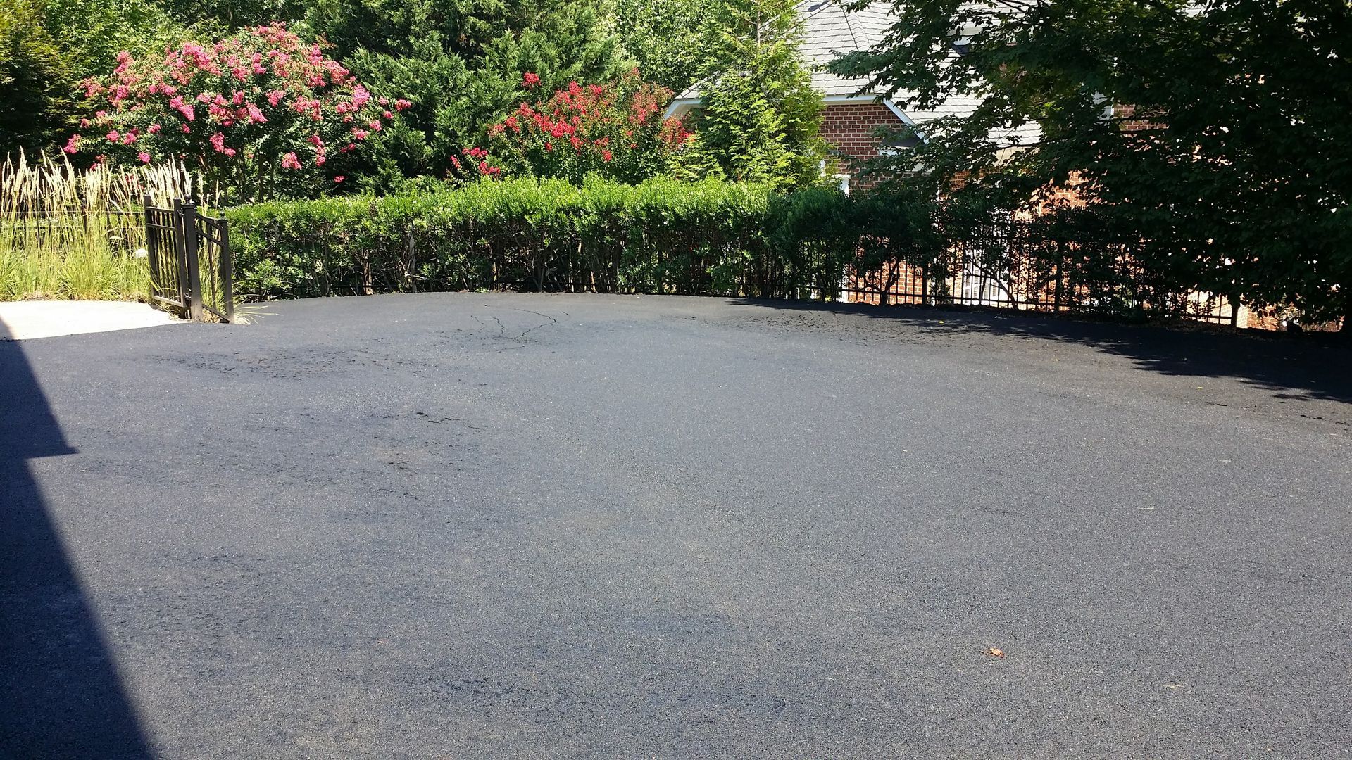 A flat, dark gray asphalt driveway surface in a residential setting, bordered by green bushes and flowering trees.