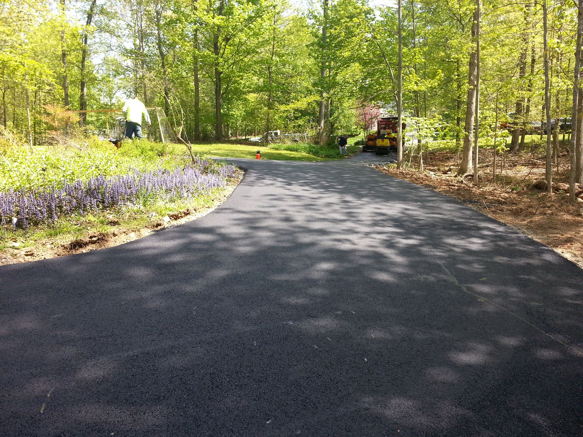 A freshly paved black asphalt driveway winds through a bright, sunlit forest with purple flowers bordering the left side.