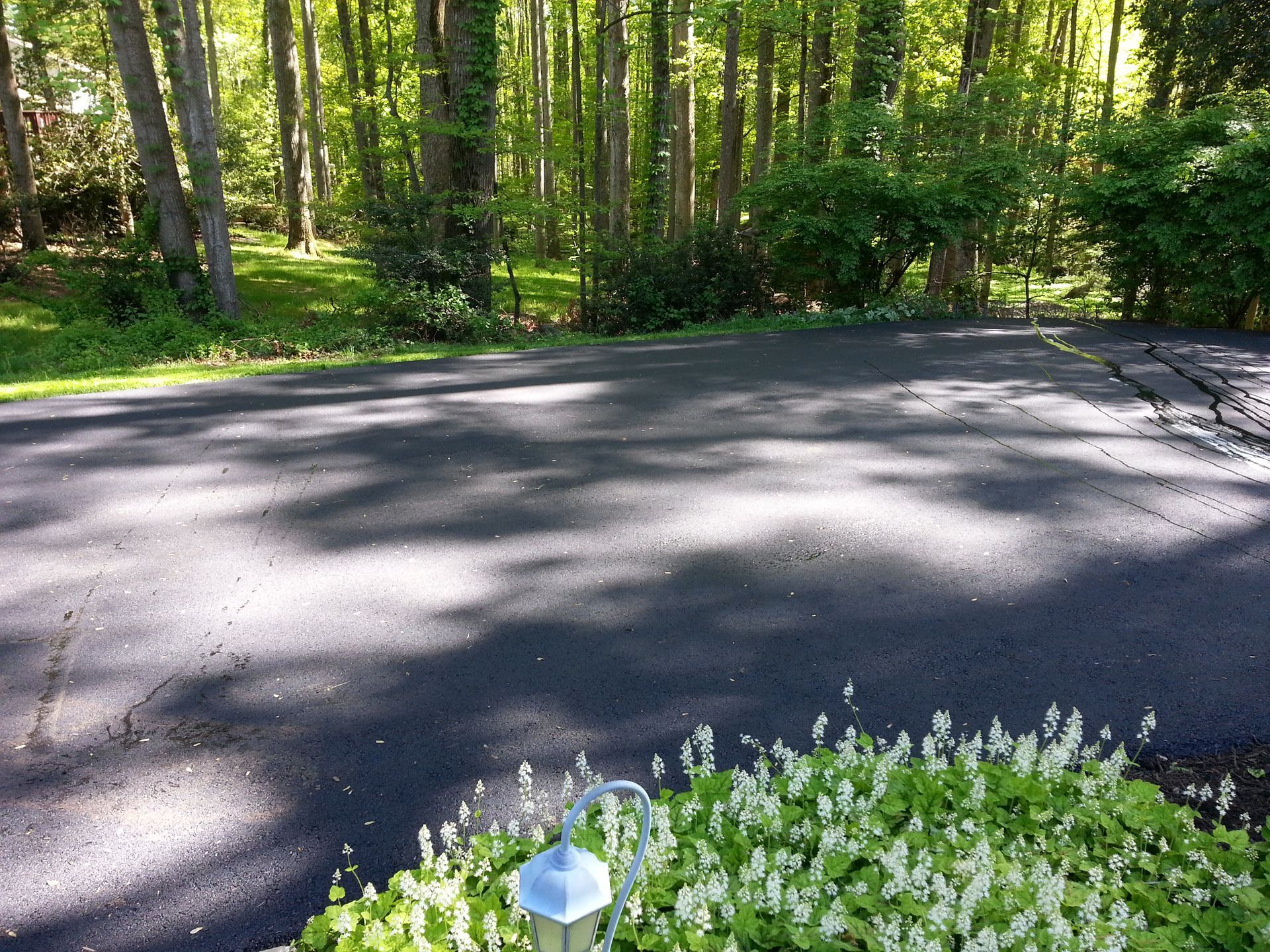 An asphalt driveway leading into a sunlit forest, with a garden of white flowers and a small outdoor light in the foreground.