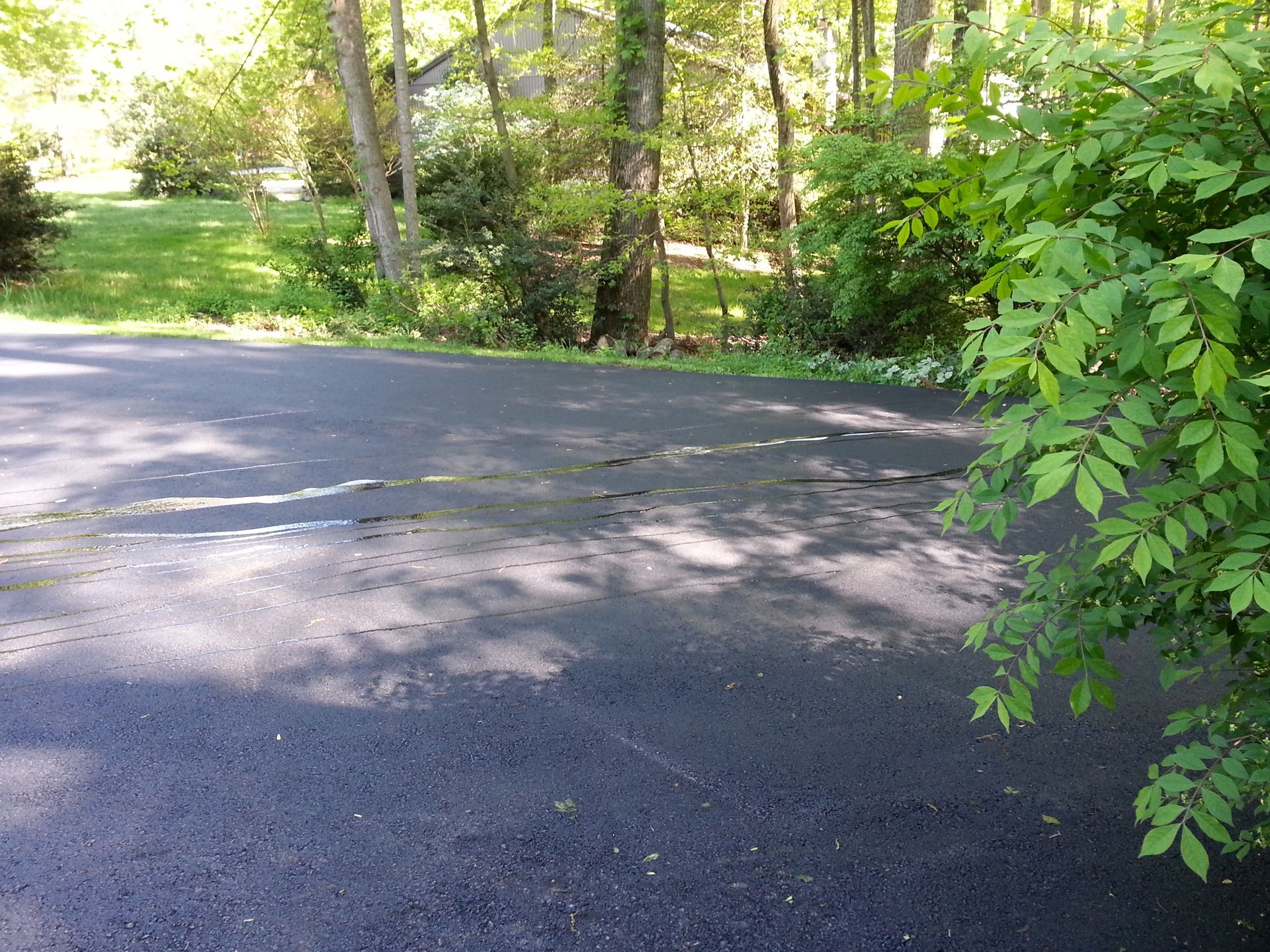 A dark asphalt driveway with a wide, transverse crack running across the center, set against a backdrop of green trees.