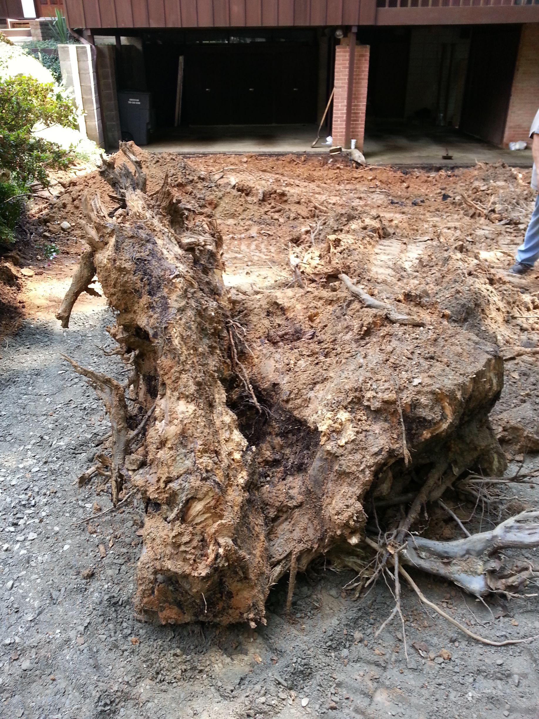 A large, dirt-covered tree root ball lying on a gravel surface in front of a house with a basement garage.