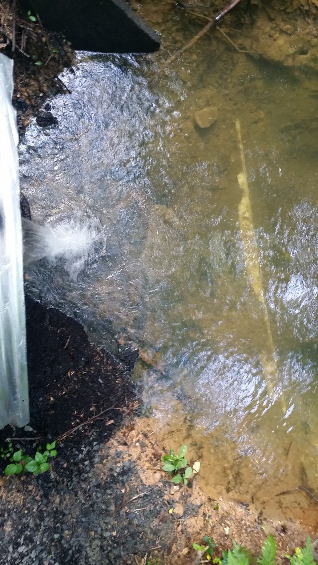 Water flows from a corrugated metal drainage pipe into a murky, sediment-filled stream bed.