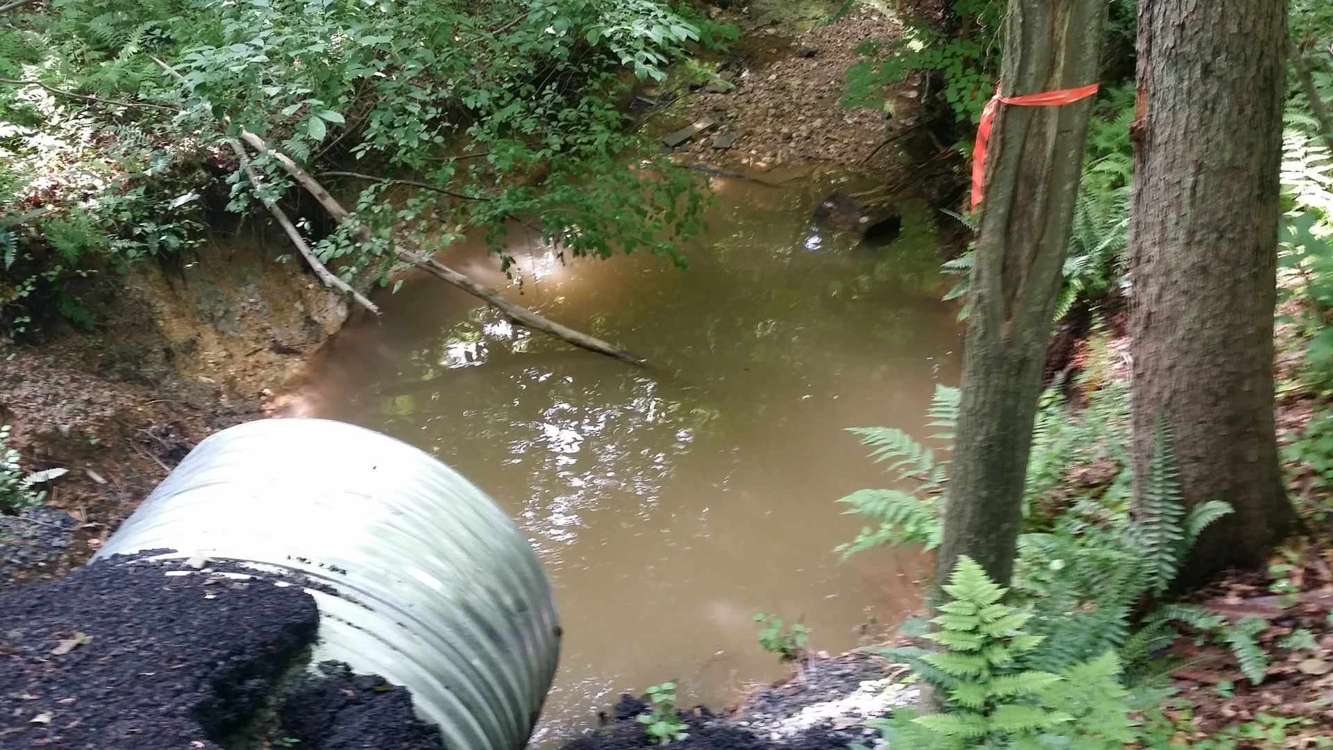 A large metal culvert pipe drains into a murky pond in a wooded area, with orange flagging tape visible on a nearby tree.