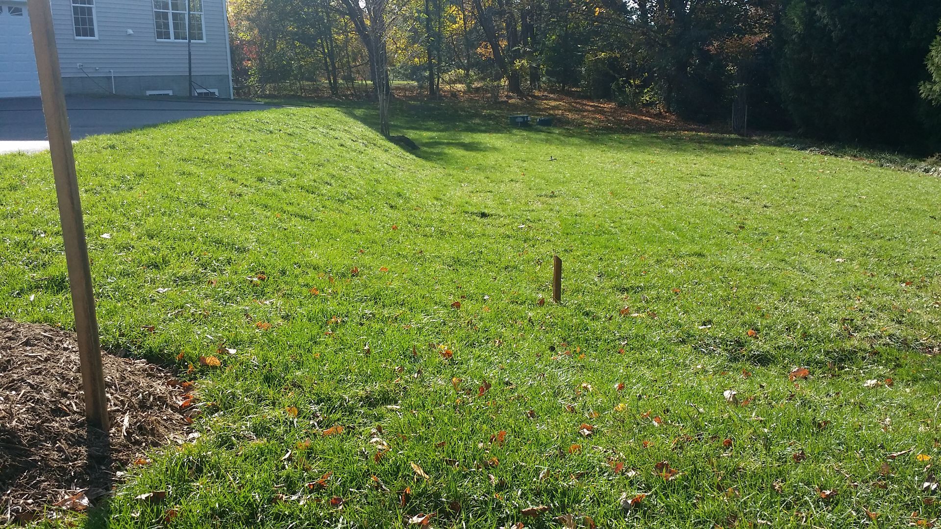 A sunny, grassy suburban yard with a small, raised embankment near a house.