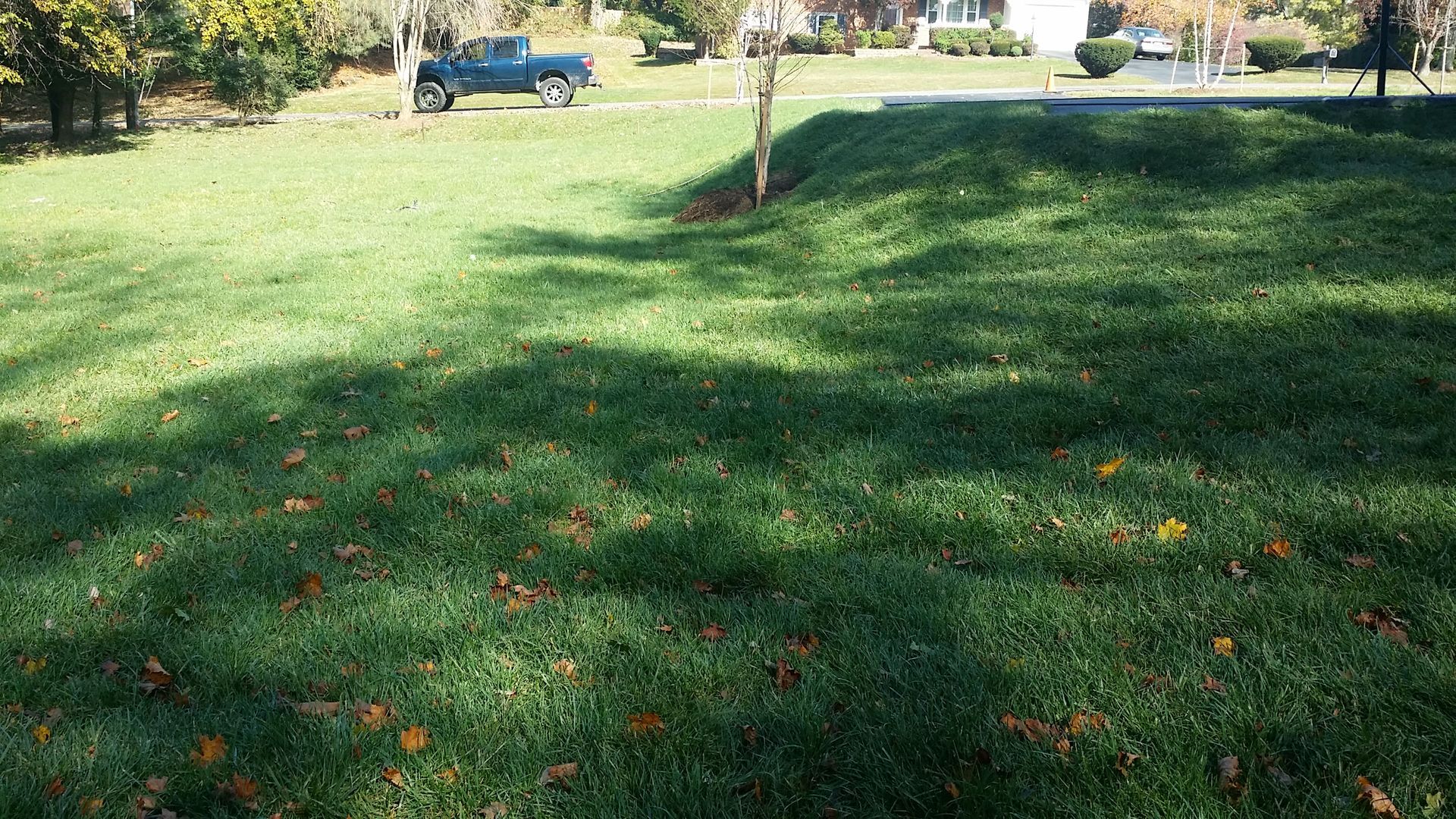 A blue pickup truck parked on the side of a grassy lawn with autumn leaves scattered across the ground.