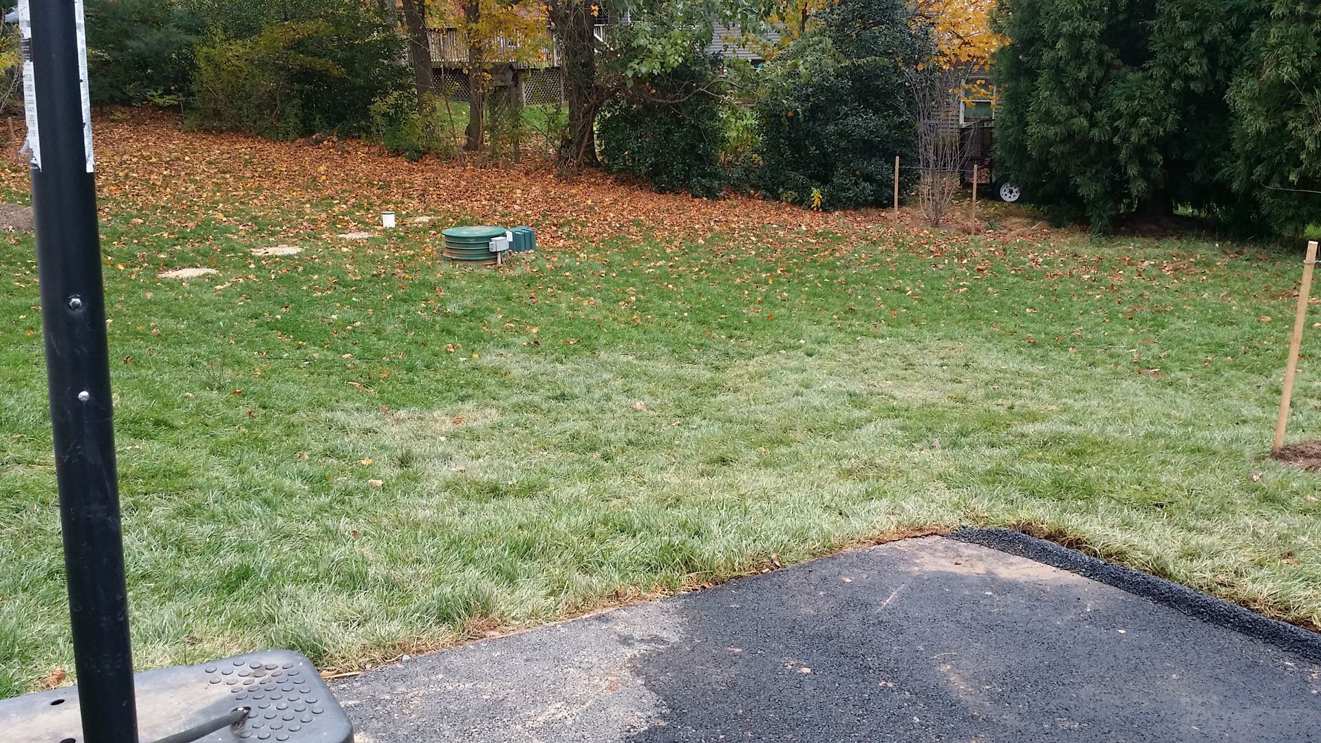 A grassy backyard in autumn with fallen leaves, a small green box, a basketball hoop post, and a corner of a driveway.