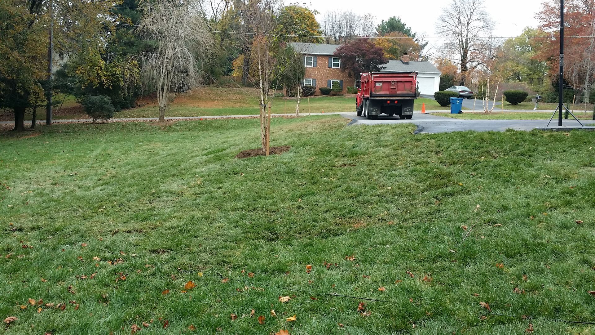 A red dump truck sits on a paved driveway near a grassy yard with a small tree in a residential neighborhood.