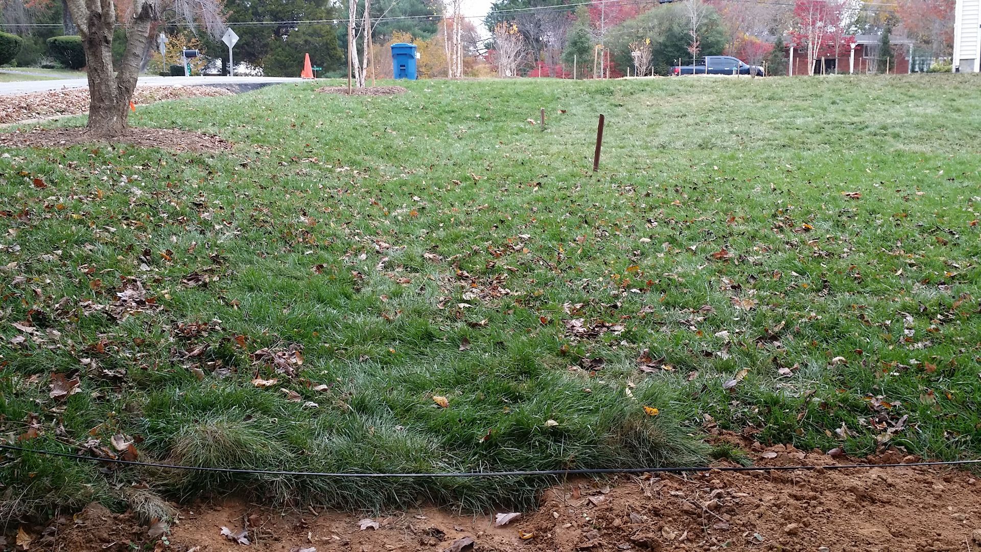 A residential front yard with a green grass lawn, scattered brown leaves, and a dirt patch in the foreground.
