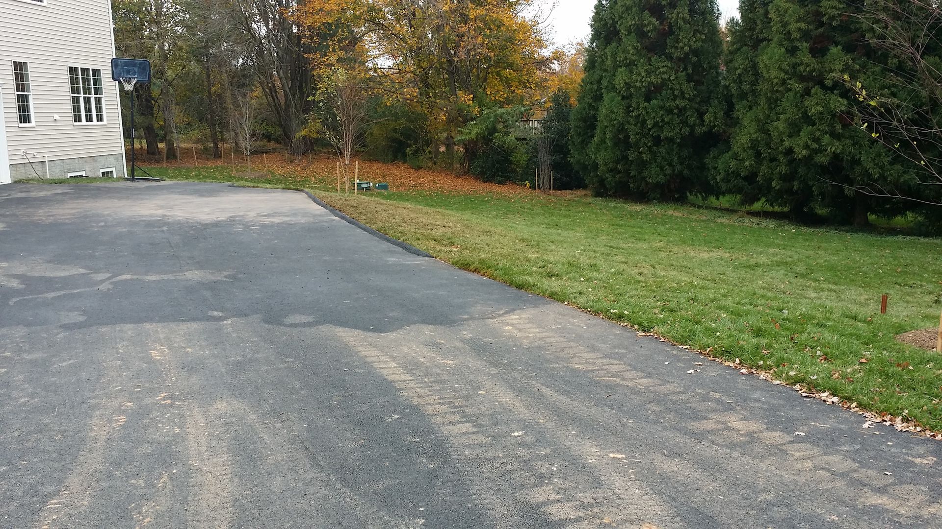 A gray asphalt driveway meeting a grassy lawn and a line of evergreen trees in an outdoor residential setting.