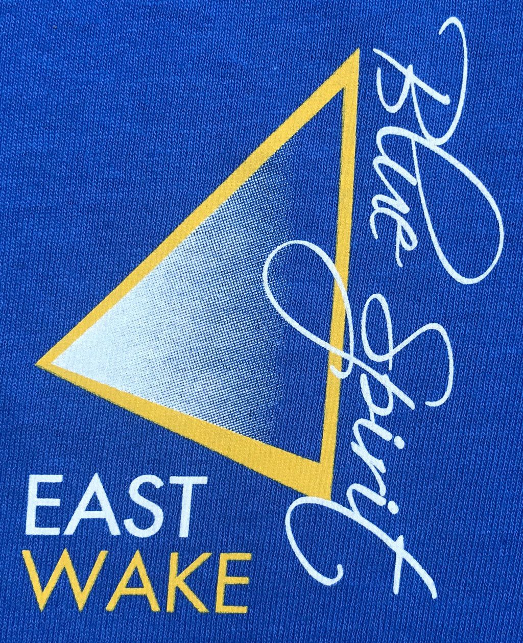 Logo with a golden triangle containing a blue gradient, the words 