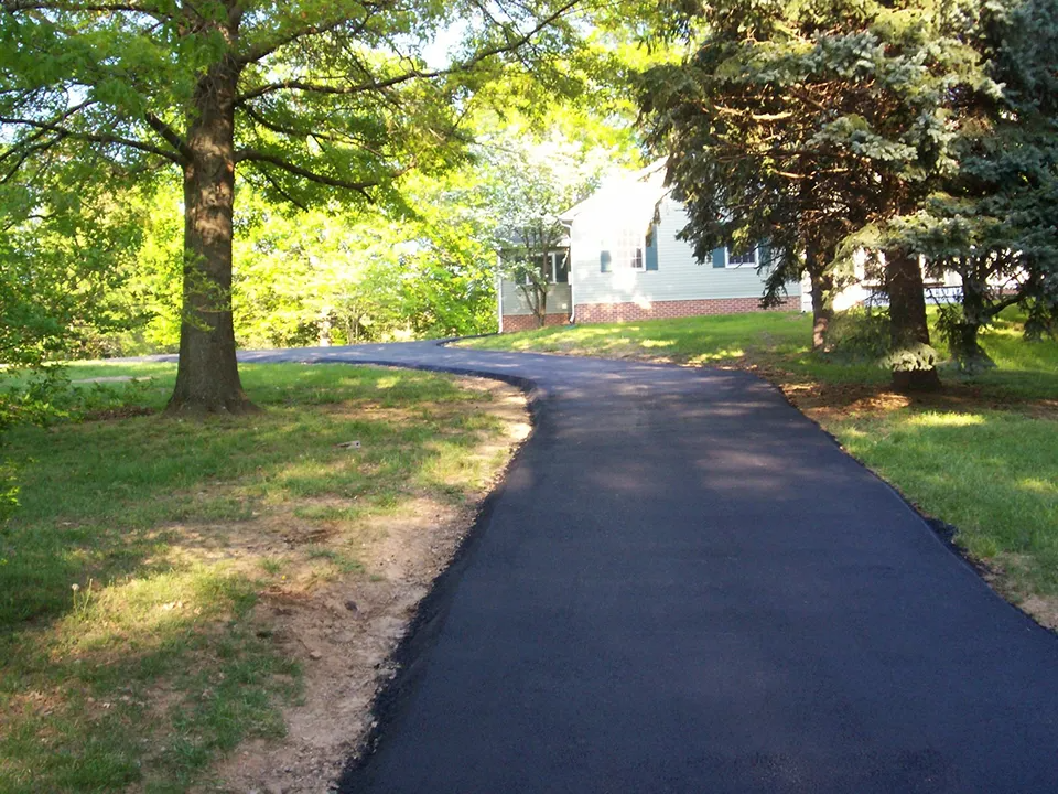 Paved driveway curving through a green, tree-lined yard toward a white house in sunlight