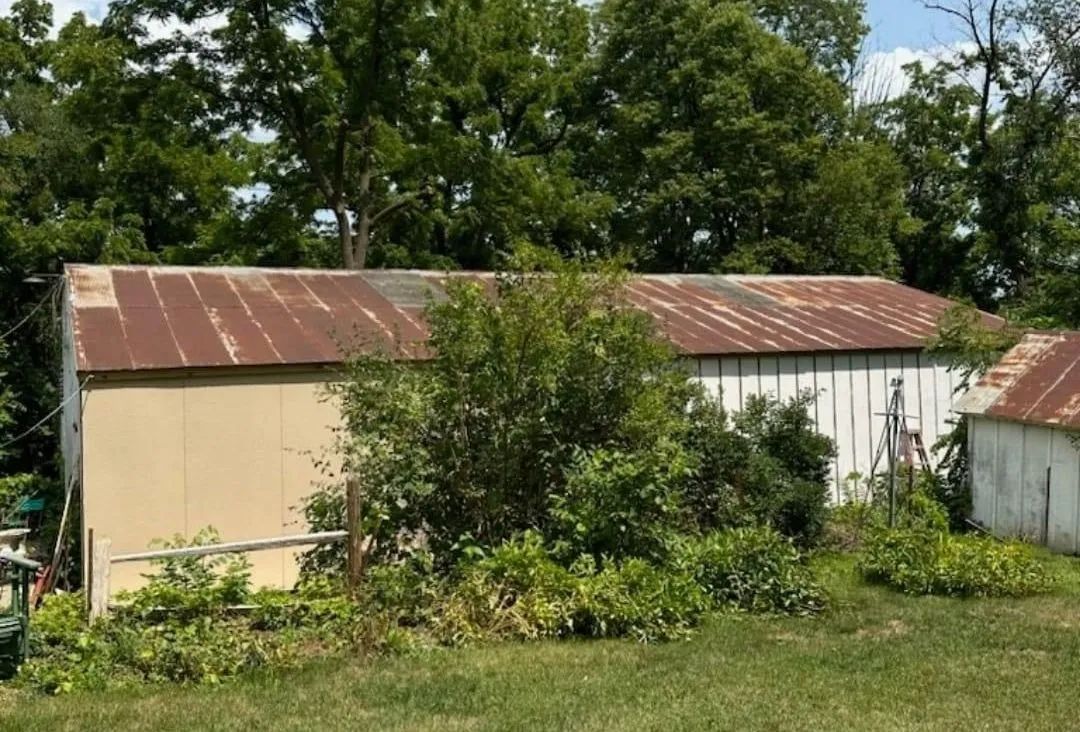 Rustic outbuildings with rusted metal roofs, partly hidden by trees and overgrown grass in a rural yard