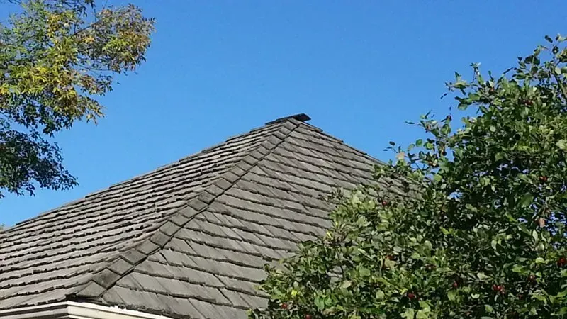 Gray shingled roof peak framed by green trees against a blue sky
