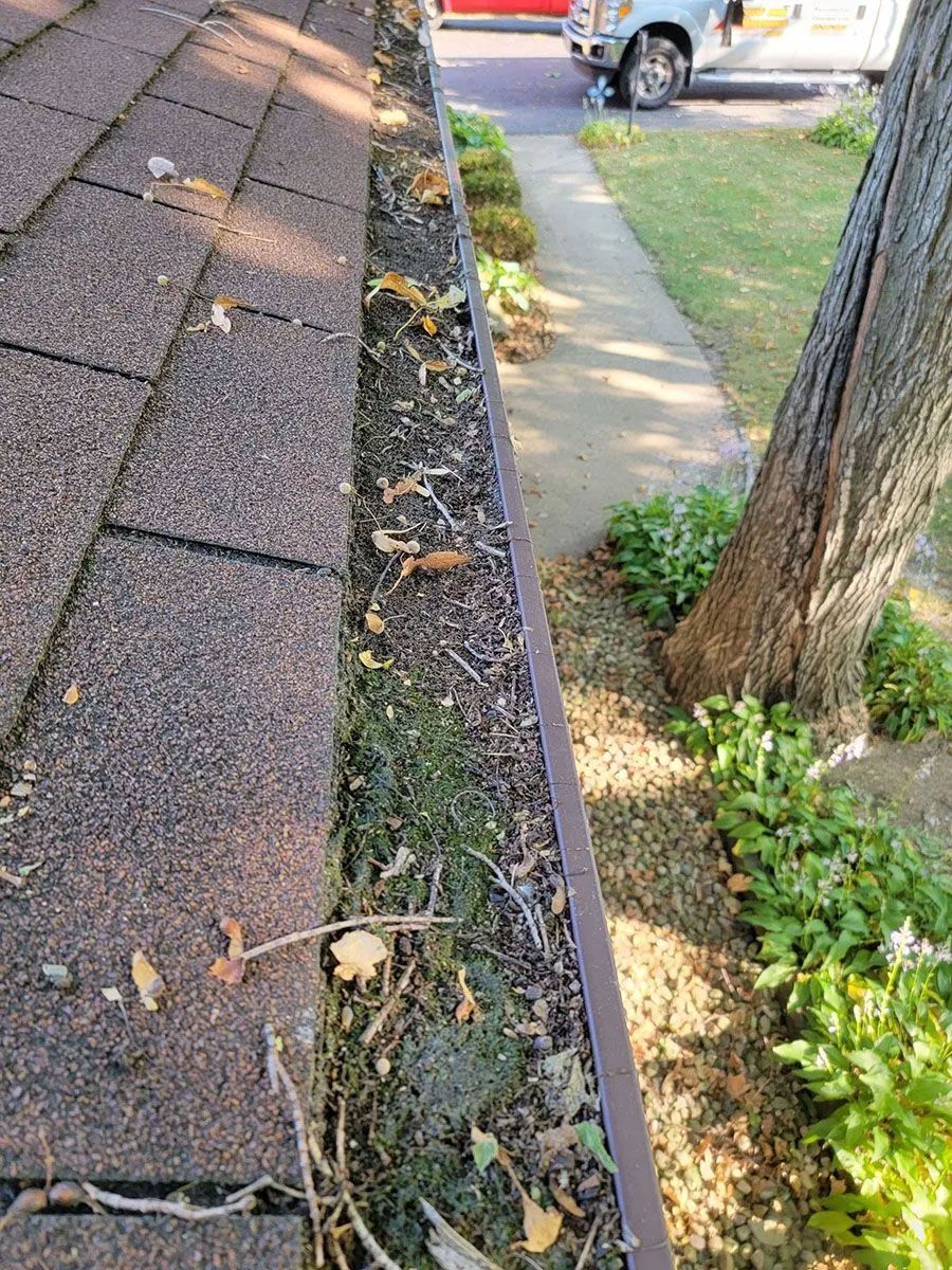 Roof gutter filled with leaves beside a sidewalk, tree, and driveway