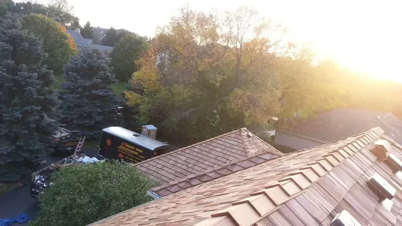 Sunlit rooftop overlooking trees and parked vehicles at dusk