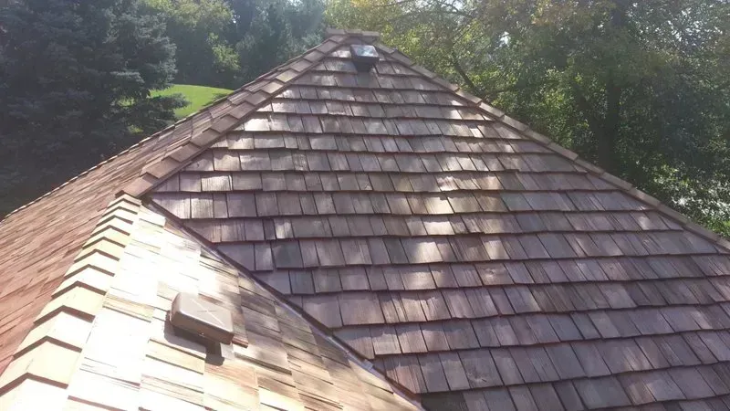 Close-up of a shingled roof with sunlight and trees in the background