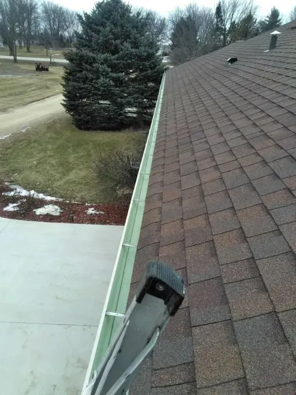 Roof edge with green gutter and ladder, viewed from above beside a yard and evergreen tree