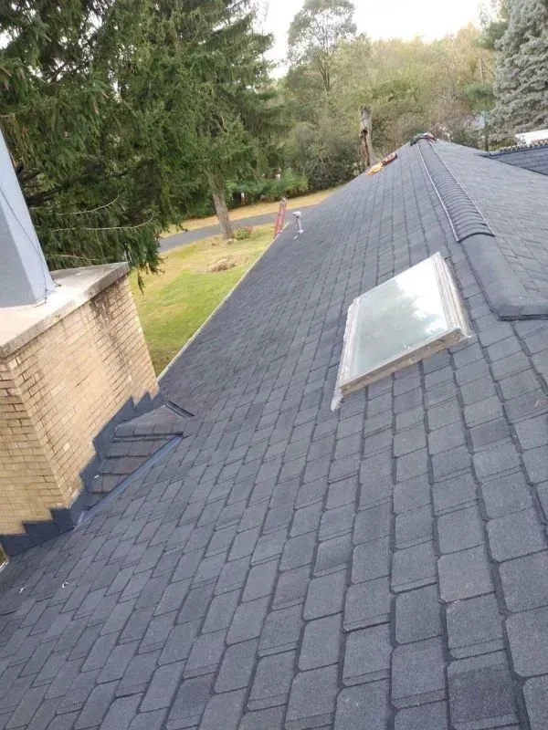 Dark shingled roof with a skylight, sloping beside a grassy yard and trees