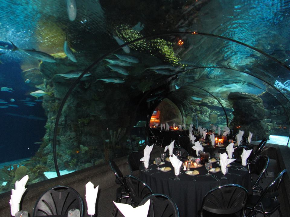 Brandeis Catering Photo