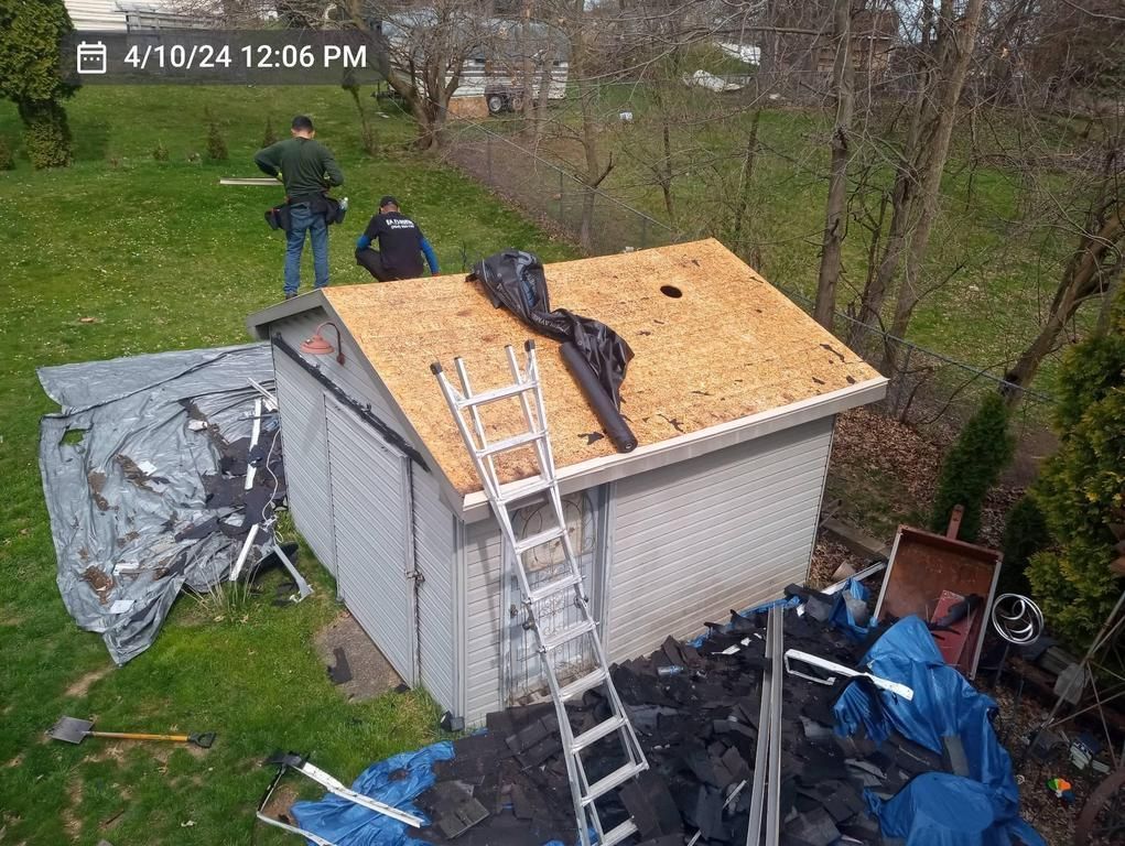 Two workers replace the roof of a shed in a backyard with a ladder propped against the side.