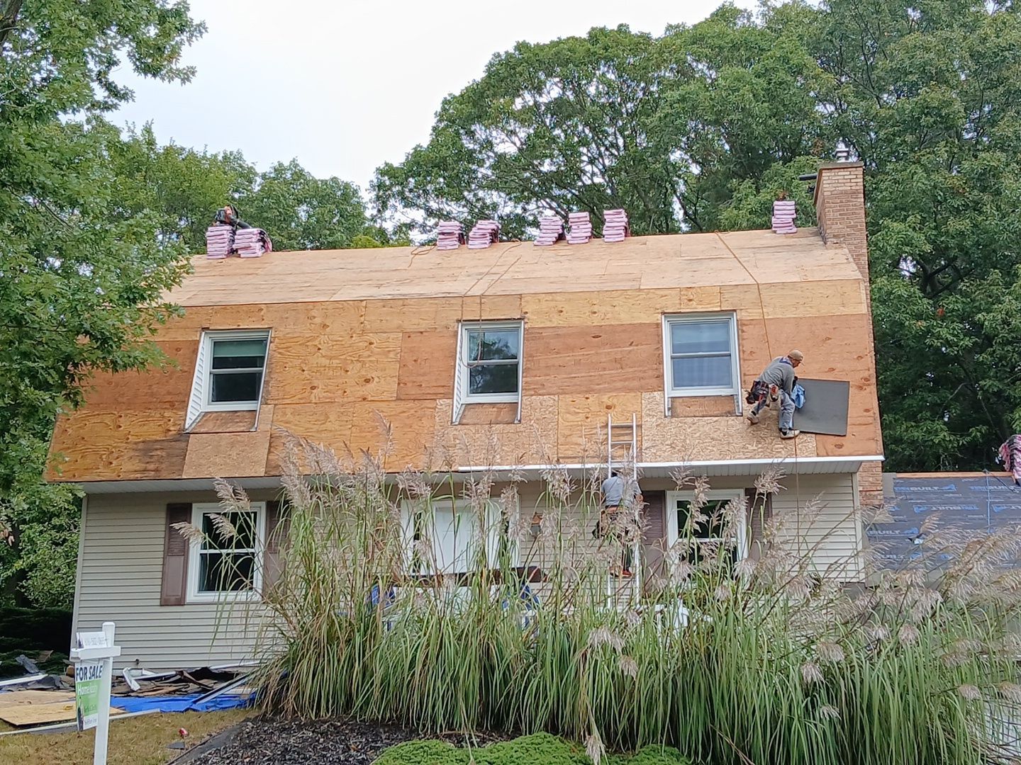 Roofers installing plywood sheathing on the roof of a two-story house surrounded by trees.