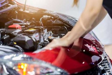 State inspection services