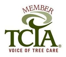 TCIA logo