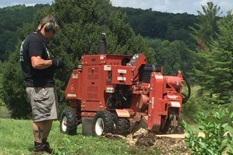 Stump Grinding